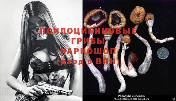 кокс Алзамай
