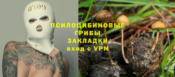 стаф Алексеевка