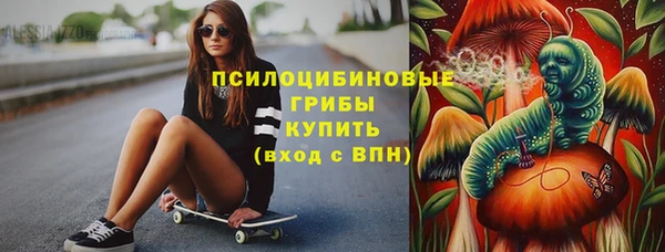 стаф Алексеевка